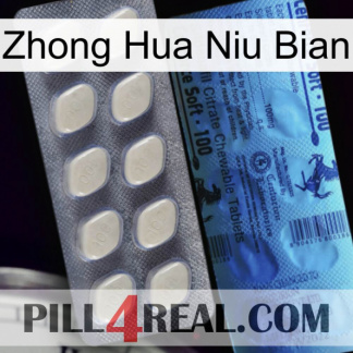 Zhong Hua Niu Bian 34